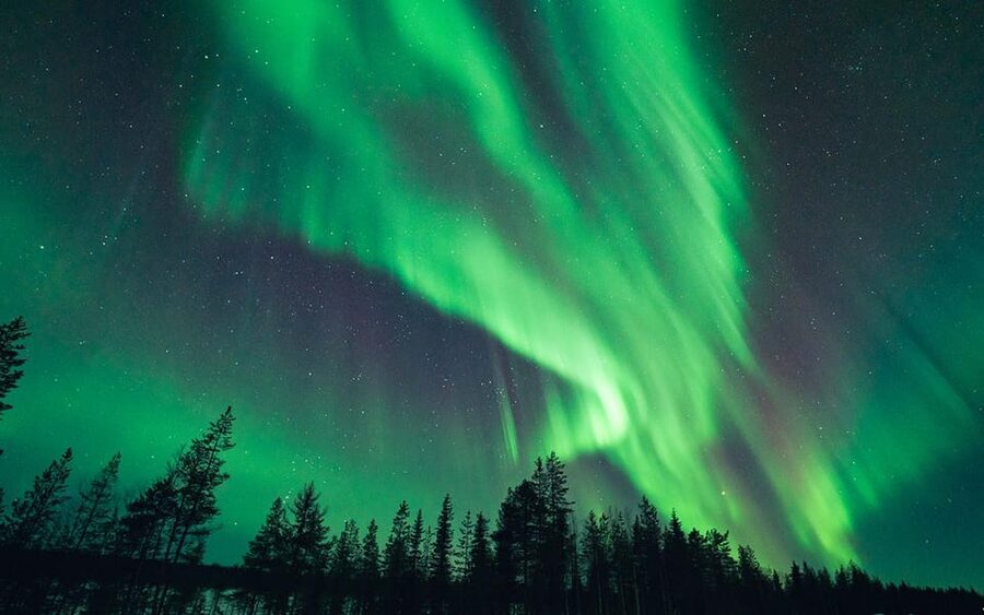 Rovaniemi: Small Group Aurora Hunt-full money back guarantee - The Key Things That Make This Aurora Hunt Worth Your Time