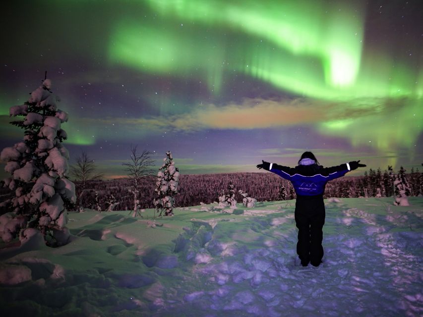 Rovaniemi: Small-Group Northern Lights Wilderness Tour - Entering The Aurora Zone: what the 4 hours actually feel like