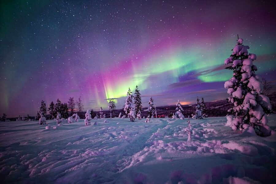 Rovaniemi: Small-Group Northern Lights Wilderness Tour - Who this tour fits best (and who might want a different style)