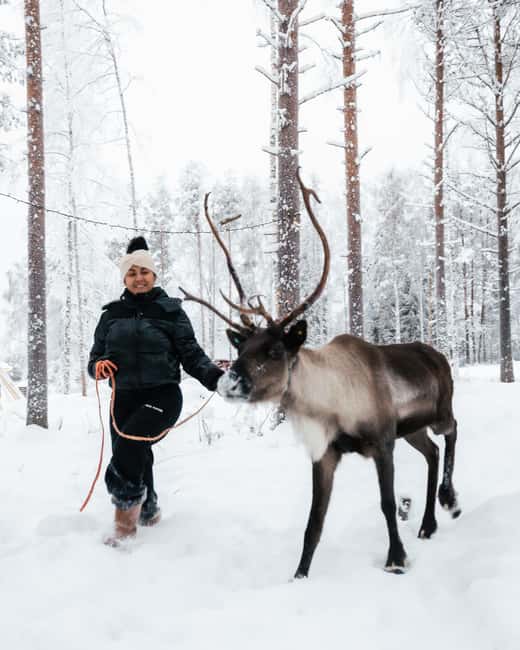 Rovaniemi Winter Activities & Northern Lights! - Lappish Tepees by the Fire: Warm Breaks and Grilled Snacks