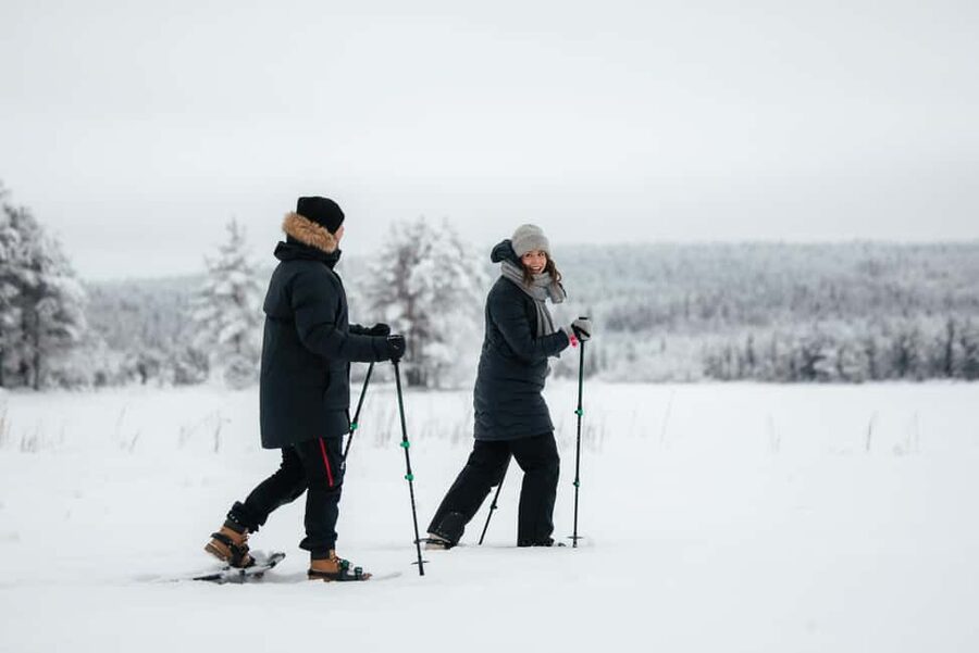 Rovaniemi Winter Activities & Northern Lights! - Cafe and Souvenir Stop: Snacks, Drinks, and Practical Treats