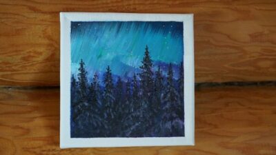Rovaniemi: Workshop - Aurora painting - Price and Value: What $135 Really Buys
