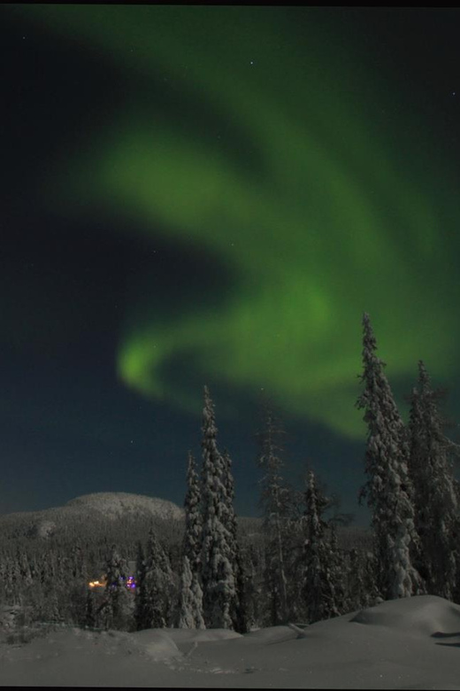 Ruka: Searching for the northern lights with snowshoes - Who Should Book This Tour (and Who Should Skip It)