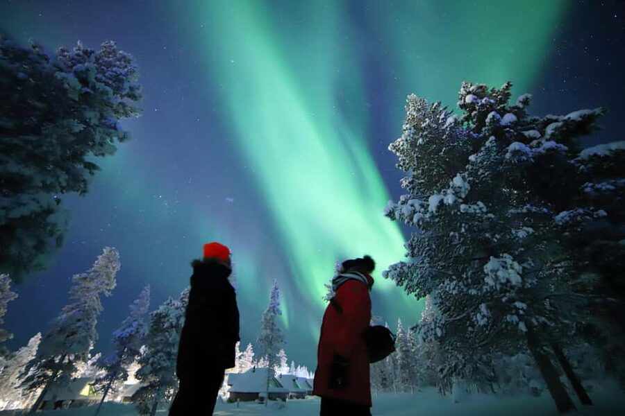 Saariselkä: Aurora Hunting & Reindeer Wilderness Experience - Aurora hunting in Saariselkä: how the guide improves your odds
