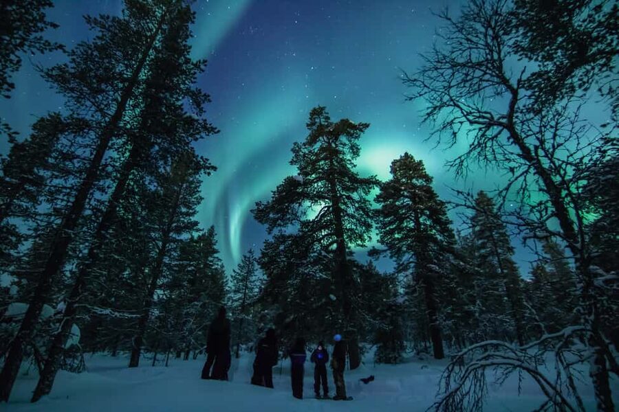 Saariselkä: Aurora Hunting & Reindeer Wilderness Experience - Reindeer wilderness time: feeding and petting up close