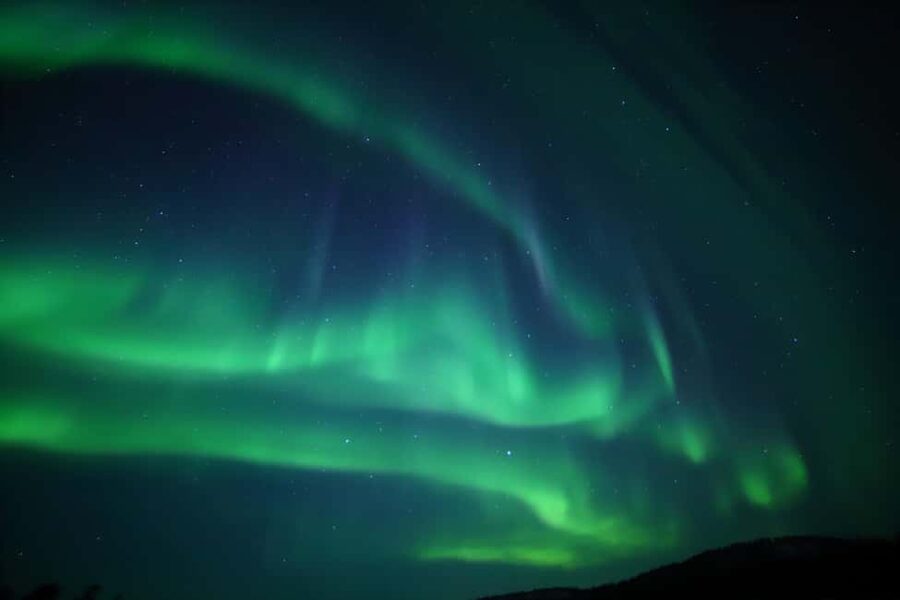 Saariselkä: Aurora Hunting & Reindeer Wilderness Experience - The shared-group reality: what it feels like on the ground