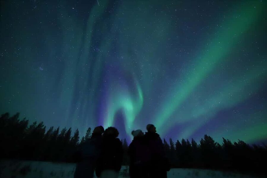 Saariselkä: Aurora Hunting & Reindeer Wilderness Experience - What to wear and bring for a cold sky night