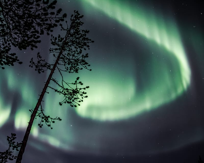 Saariselkä: Aurora Photo Tour by Car with Transfer & Drinks - Photo tour mechanics: guide photos and what you get afterward