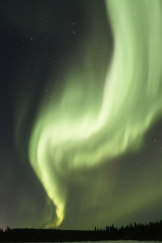 Saariselkä: Aurora Photo Tour by Car with Transfer & Drinks - Price and value: does $135 make sense?