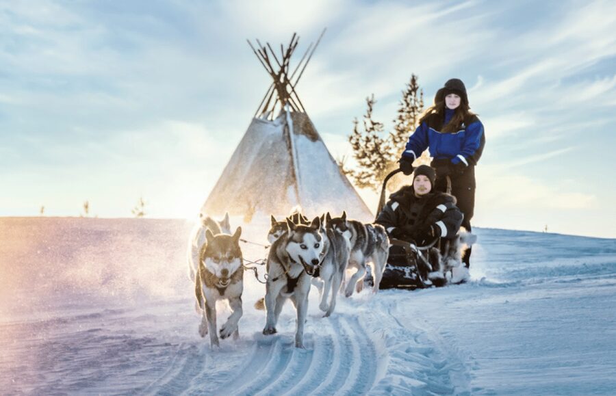 Saariselkä: Husky Safari with Aurora Borealis Hunt - Husky Safari Meets Lapland Nights in Saariselkä