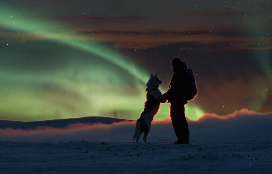 Saariselkä: Husky Safari with Aurora Borealis Hunt - How self-driving works (and how the guide supports you)