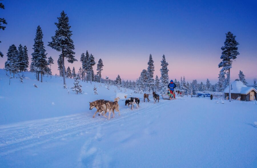 Saariselkä: Husky Safari with Aurora Borealis Hunt - Pickup, warmth prep, and the run out to the Husky Farm