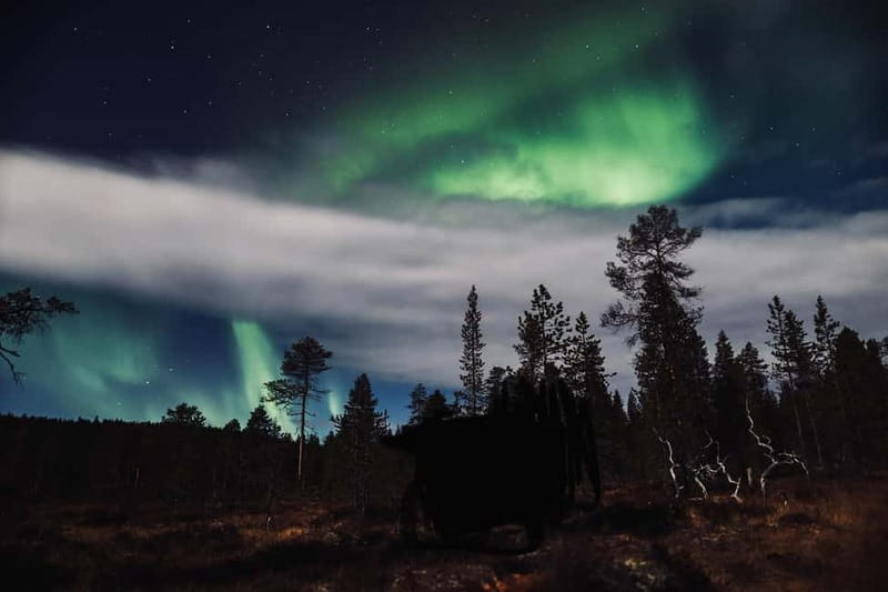 Saariselkä,Kakslauttanen: Aurora Hunting & Photography Tour. - What guide names you might encounter (and what that signals)