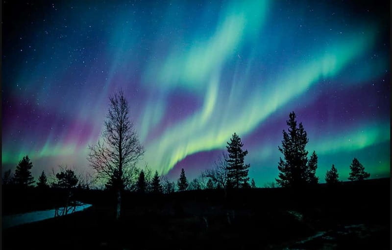 Saariselkä,Kakslauttanen: Aurora Hunting & Photography Tour. - Price and value: what $154 buys you (and who it’s for)