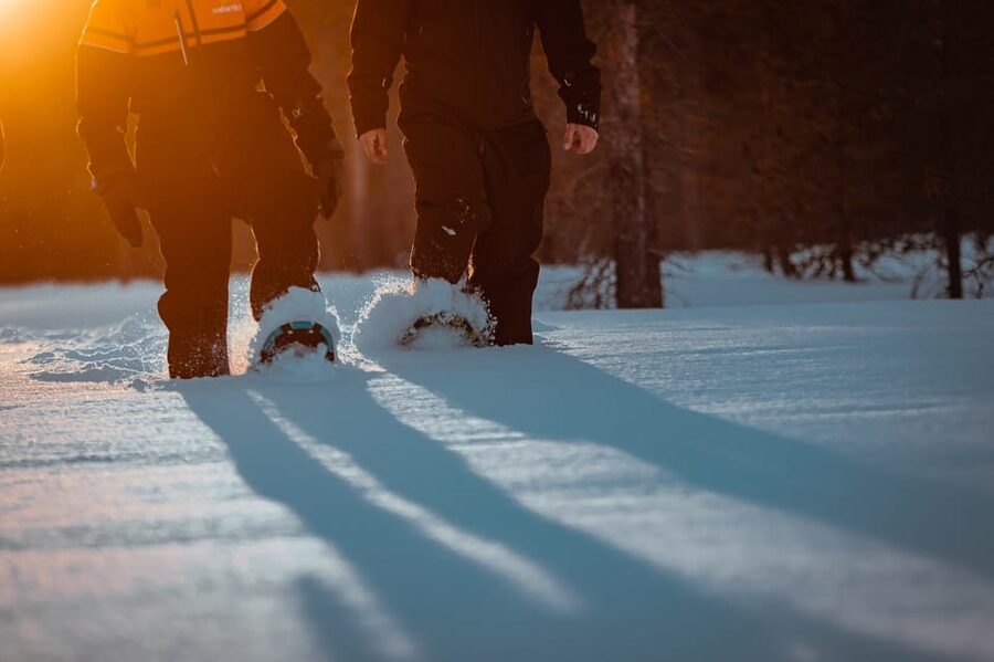 Saariselkä: Northern Lights Hunting Snowshoe Trip - Key things you’ll notice on this Saariselkä Northern Lights snowshoe hunt