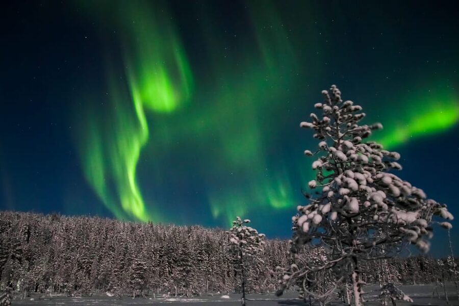 Saariselkä: Northern Lights Hunting Snowshoe Trip - Snowshoe coaching that helps you handle deep snow