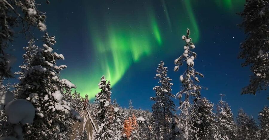 Saariselkä: Northern Lights Hunting Snowshoe Trip - Small but important booking tips for a smooth night