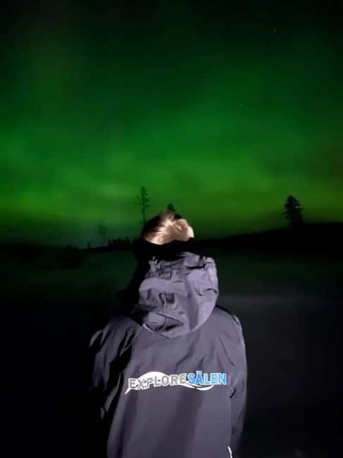 Sälen: Northern Lights Snowshoe Adventure with Pickup - The Aurora Watch: How You Actually Look Up (and Not Miss It)