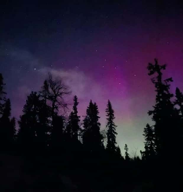 Sälen: Northern Lights Snowshoe Adventure with Pickup - Köarskärsfjället: Your Launch Point for Dark-Sky Aurora Chances