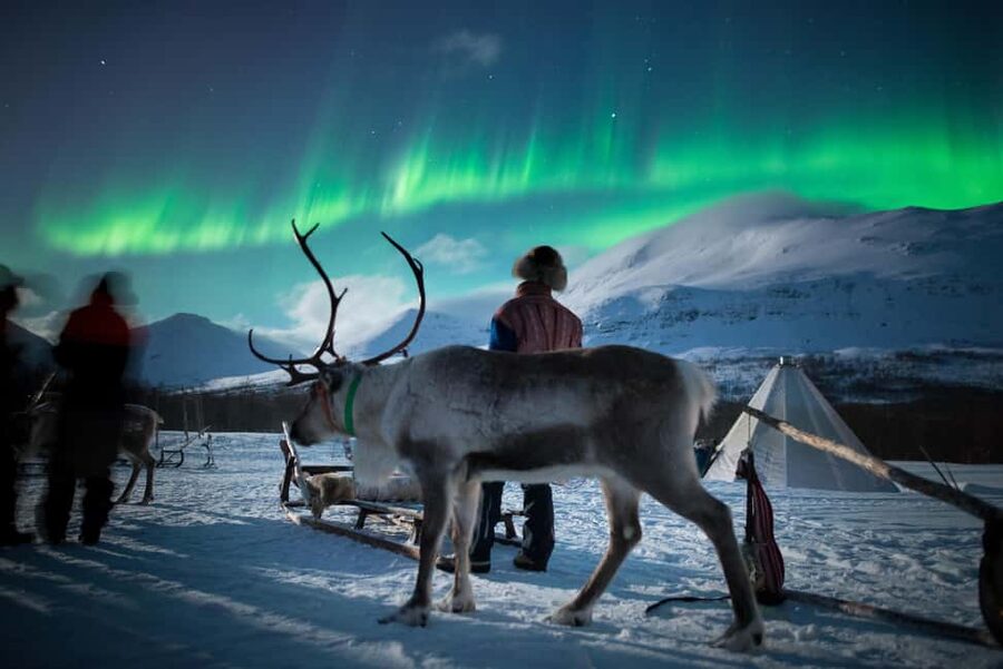 Sami Culture, Northern Lights & Reindeer Visit at Camp Tamok - Tromsø to Tamokdalen: the ride that sets the mood