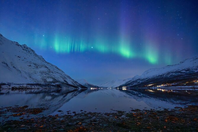 Sami Reindeer Camp Visit and Aurora Wonder Night - The Tromsø pickup and Arctic Cathedral stop that sets the tone