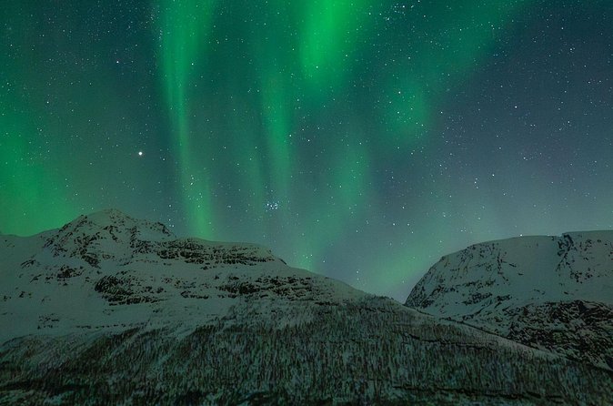 Sami Reindeer Camp Visit and Aurora Wonder Night - Timing, duration, and what to do with a long winter evening