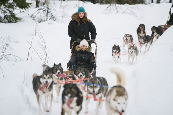 Santa's Reindeer & Husky Safari + Aurora BBQ in Rovaniemi - Getting warm: Fazer chocolate and hot berry tea between rides