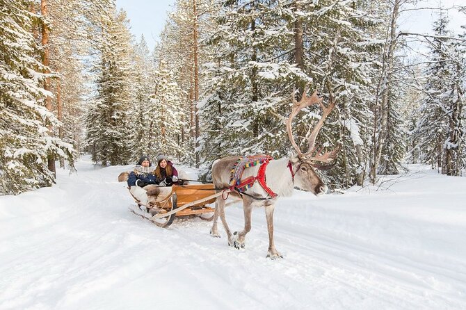 Santa's Reindeer & Husky Safari + Aurora BBQ in Rovaniemi - The noon gap: Santa Village option and a chance to explore