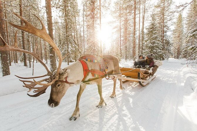 Santa's Reindeer & Husky Safari + Aurora BBQ in Rovaniemi - Price and value: why $289 feels fair for what you get