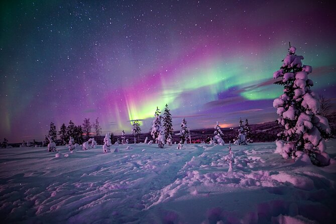 Ski Trekking under the Northern Lights - Key things that make this ski trek worth your time