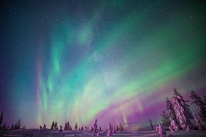 Ski Trekking under the Northern Lights - Group Size and Guide Support: Why It Feels Personal