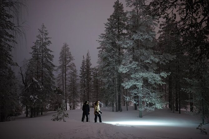 Ski Trekking under the Northern Lights - Who This Tour Suits Best (And Who Should Skip It)