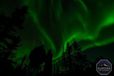 SkyChase™ | Northern Lights Experience - Free Photography & More - Entering the Aurora Oval: how the night gets planned
