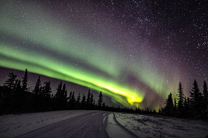 SkyChase™ | Northern Lights Experience - Free Photography & More - Food, drinks, and small comfort wins that matter at -15