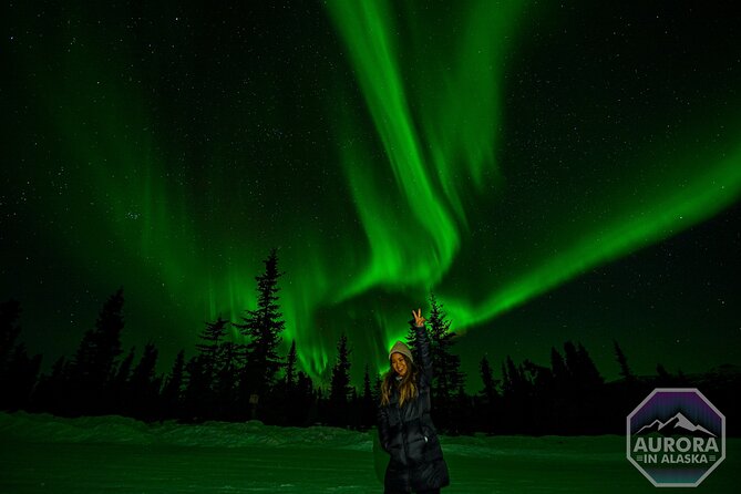 SkyChase™ | Northern Lights Experience - Free Photography & More - Price and value: is $335 worth it?