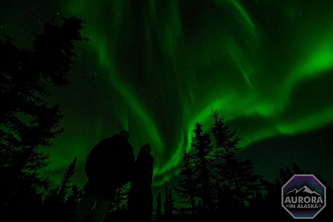 SkyChase™ | Northern Lights Experience - Free Photography & More - Entering the Aurora Oval: how the night gets planned