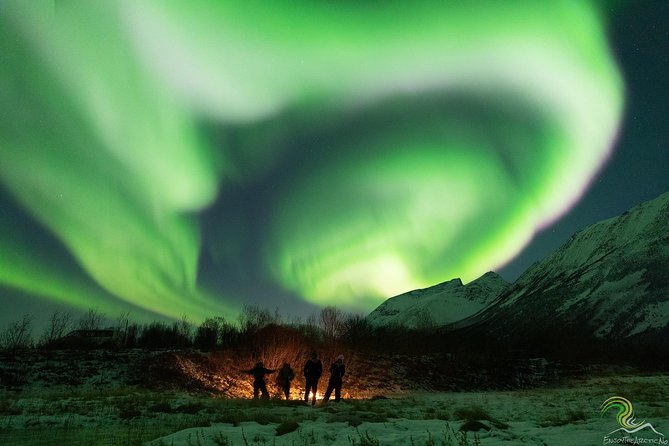 Small-Group Northern Lights Tour from Tromso with Photos - Stop, Drink, Dinner, and Then the Long Ride Home