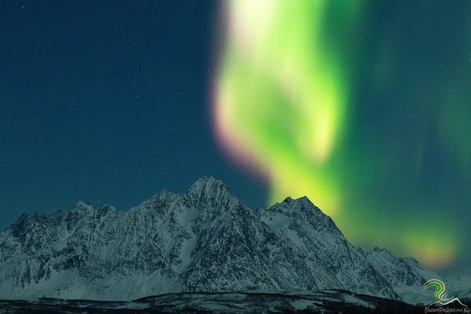 Small-Group Northern Lights Tour from Tromso with Photos - Thermal Suits, Fires, and the Cold Reality Check
