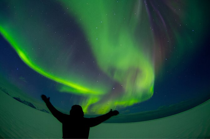 Small-Group Tour: Northern Lights with Photos & Hot Chocolate - Northern Lights in Reykjavik: why this beats random searching