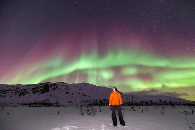 Small Group Tromsø: Northern Lights Chase with Photos and Dinner - Guides who actually guide: safety, explanations, and focus