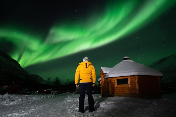Small Group Tromsø: Northern Lights Chase with Photos and Dinner - What to wear: thermic suits help, but you supply the boots