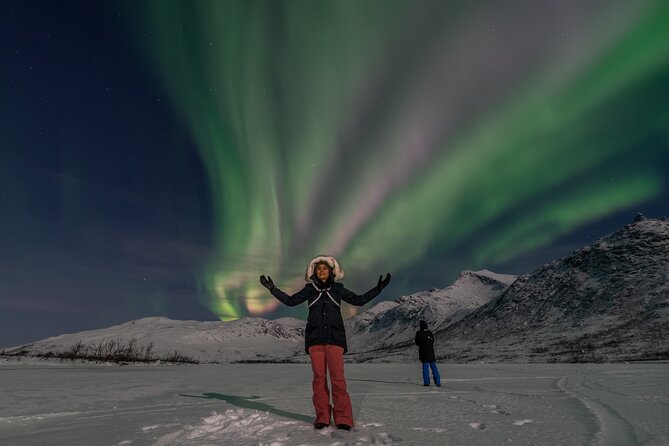Small Group Tromsø: Northern Lights Chase with Photos and Dinner - Weather reality: how the tour stays flexible
