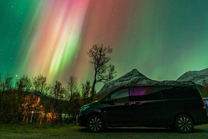 Small Group Van Journey in Search of the Northern Lights - Key things worth knowing before you go
