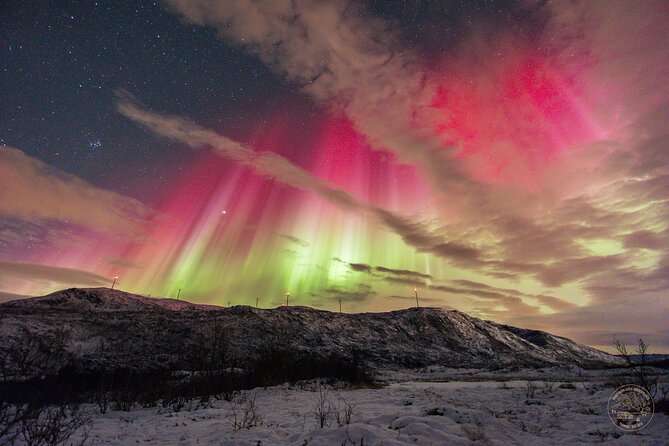 Small Group Van Journey in Search of the Northern Lights - Aurora photography coaching (and the tripod reality check)