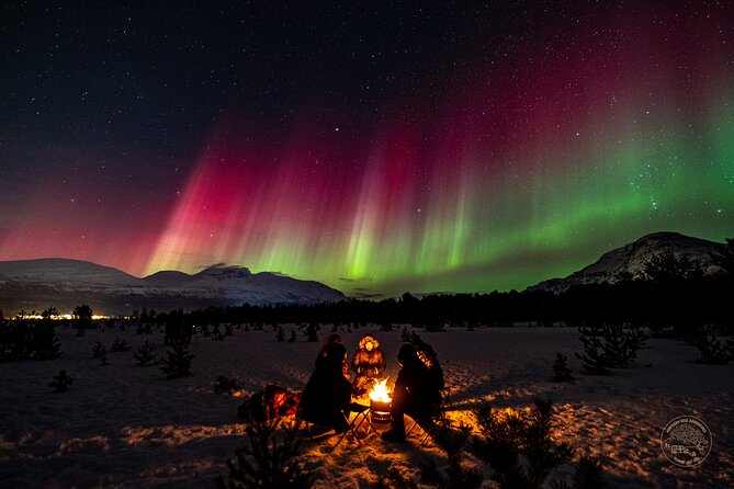Small Group Van Journey in Search of the Northern Lights - Tromsø Fjords, plus the possible Finland detour