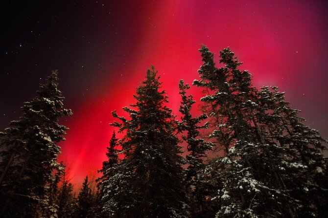 Small Group Yukon Aurora Viewing - Key things to know before you go