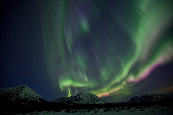 Small Group Yukon Aurora Viewing - Price and logistics: does $134.13 feel fair for 4 hours?