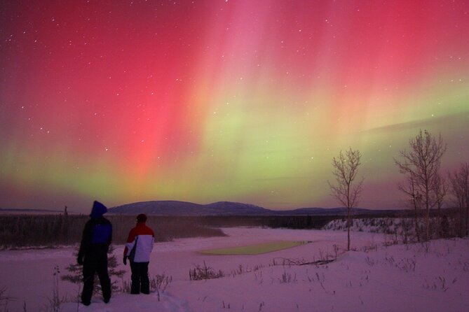 Small Group Yukon Aurora Viewing - Meet Kyle and Erin: what good guiding looks like at night