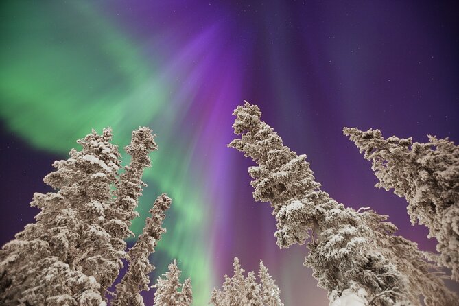 Small Group Yukon Aurora Viewing - The 10:00 pm pickup from Whitehorse and how the night starts