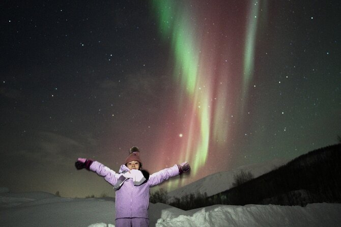 Small Northern Lights Tour Max 8 Guests Pickup and Photography - Value check: is $223.14 a good deal for Tromsø aurora chasing?